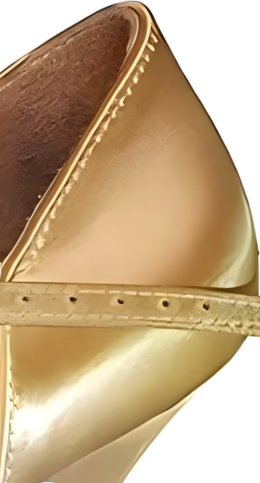 AIDA 318 – Women's Standard Dance Shoes — gold-satin.png