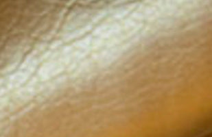 AIDA 042 – Women's Latin Dance Shoes — dark-gold-leather.jpg