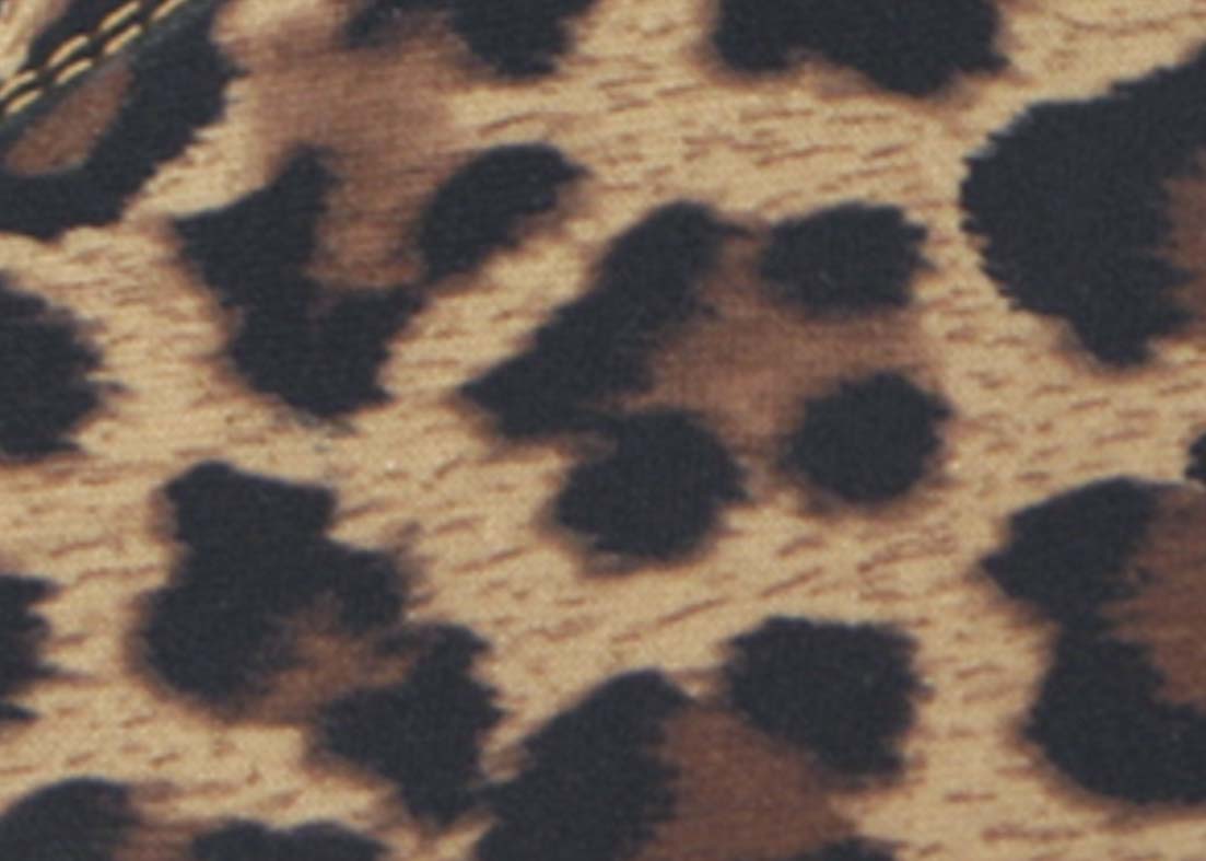AIDA Natalie 050 – Women's Latin Dance Shoes — leopard.jpg